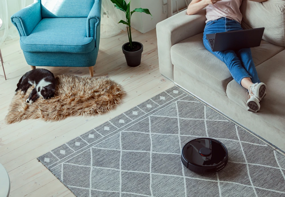 robot vacuum cleaner with hepa filter